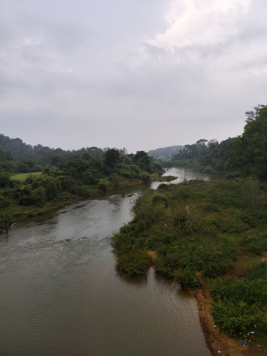 A misty river valley in Coorg, Karnataka