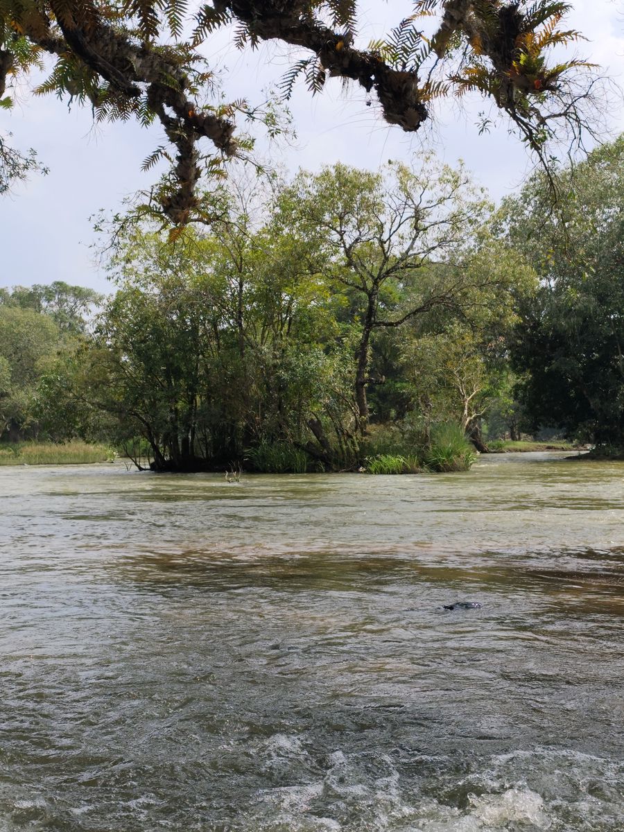 Riverside in Coorg, Karnataka